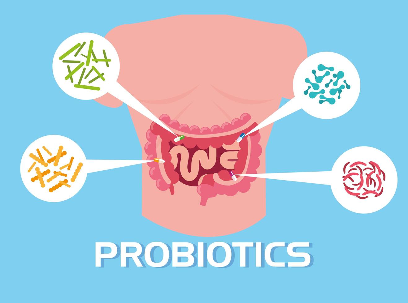 Body part with probiotics organisms vector
