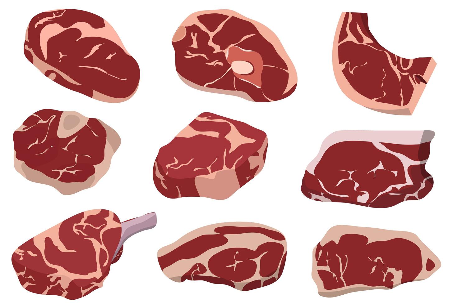 Fresh meat isolated  vector