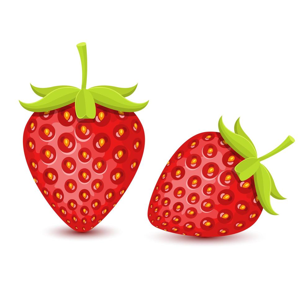 fresas frescas aisladas vector