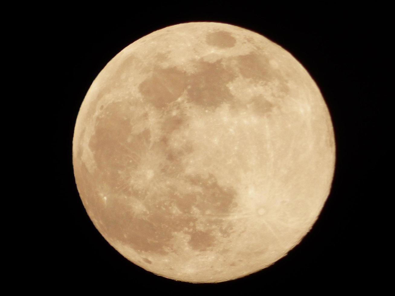 primer plano, de, un, luna amarilla foto