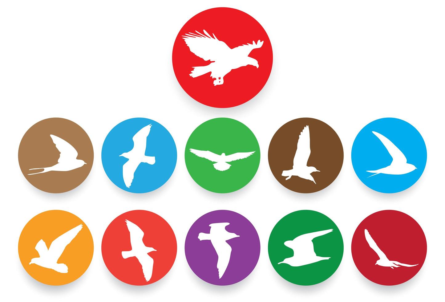 siluetas de aves voladoras en círculos de colores vector