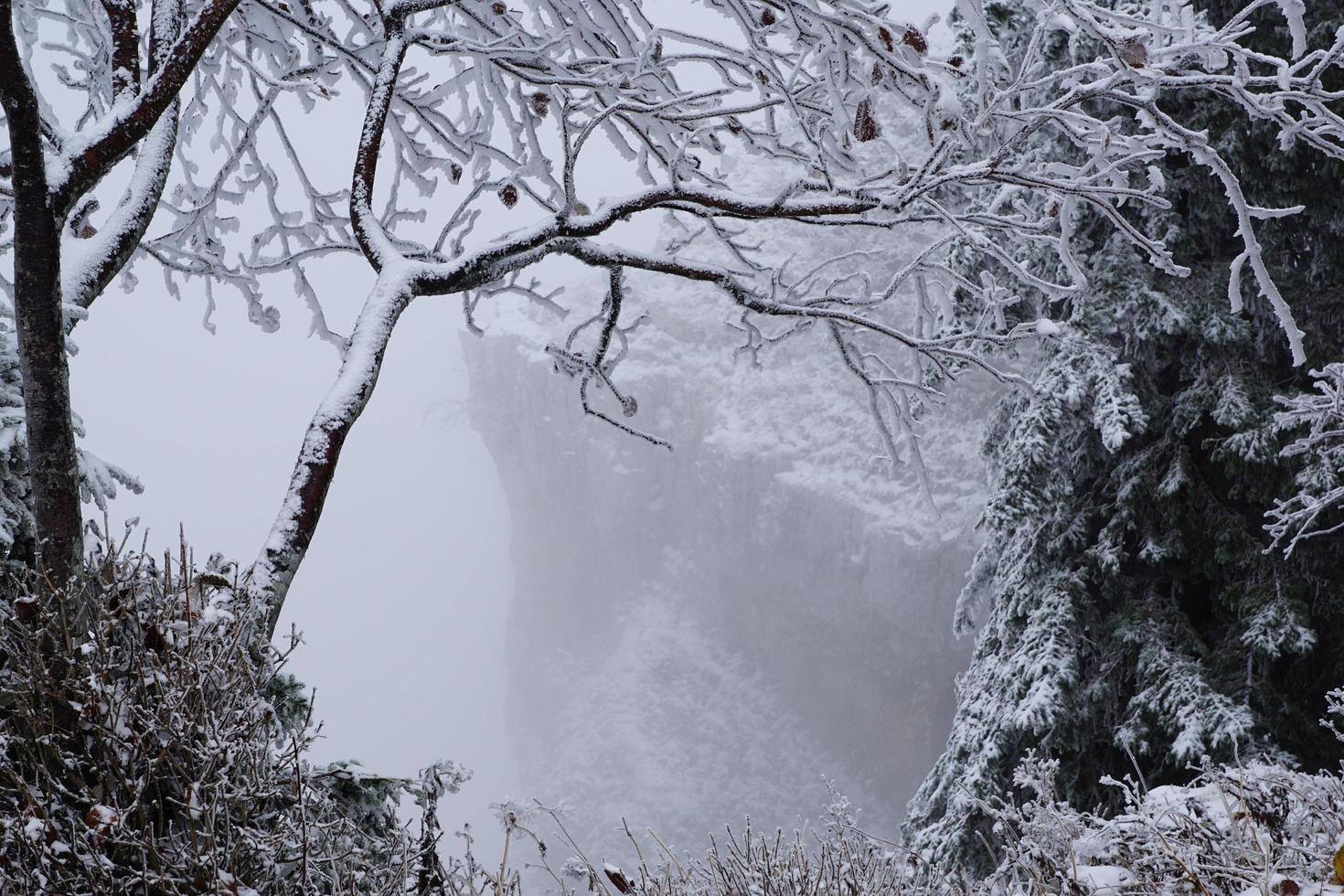 Foggy weather in the mountains photo