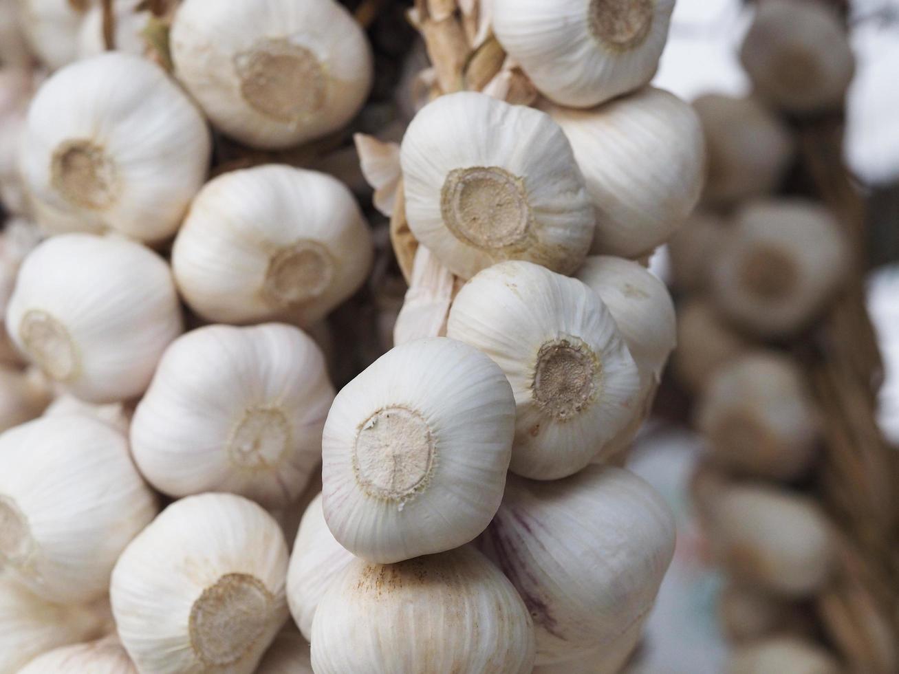 White garlic cloves photo