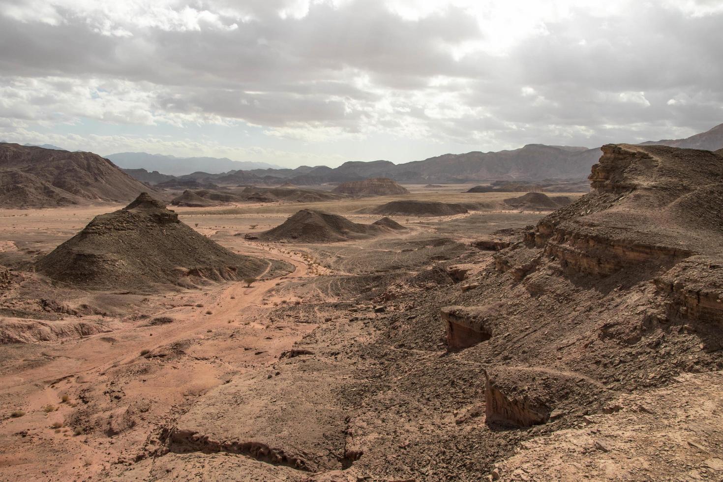 Desert landscape of Israel photo