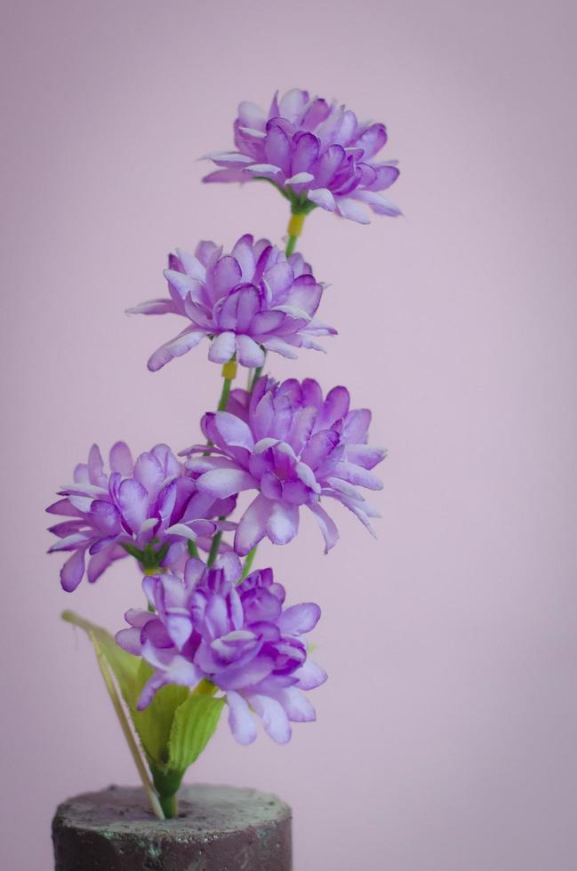 Decorative purple flower photo