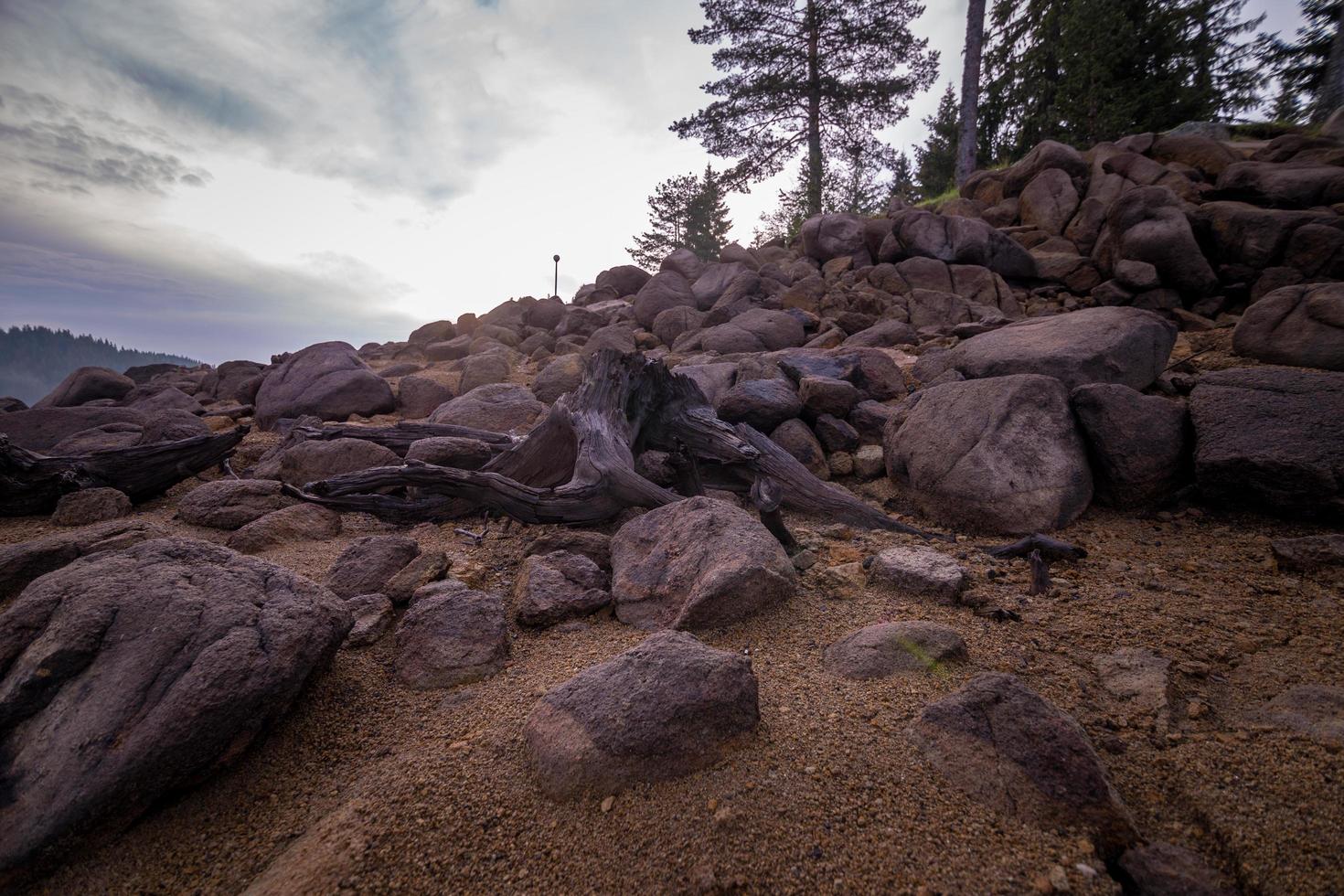 Rocky shore with trees photo