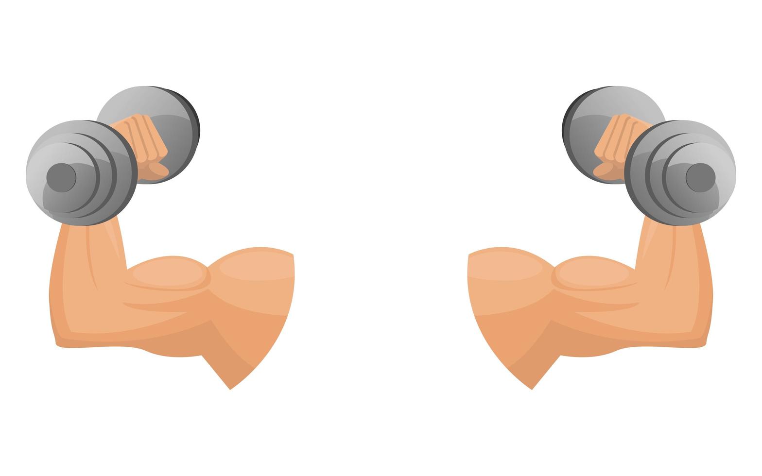 Arms with dumbbell vector