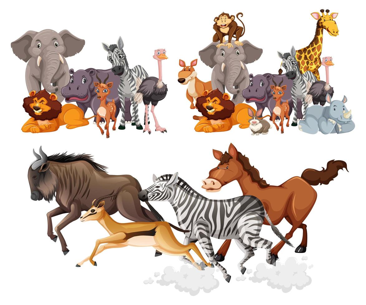 grupos de animales salvajes en estilo de dibujos animados vector
