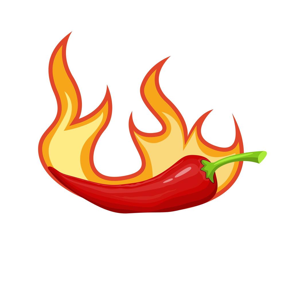 Hot chilli isolated on white background vector