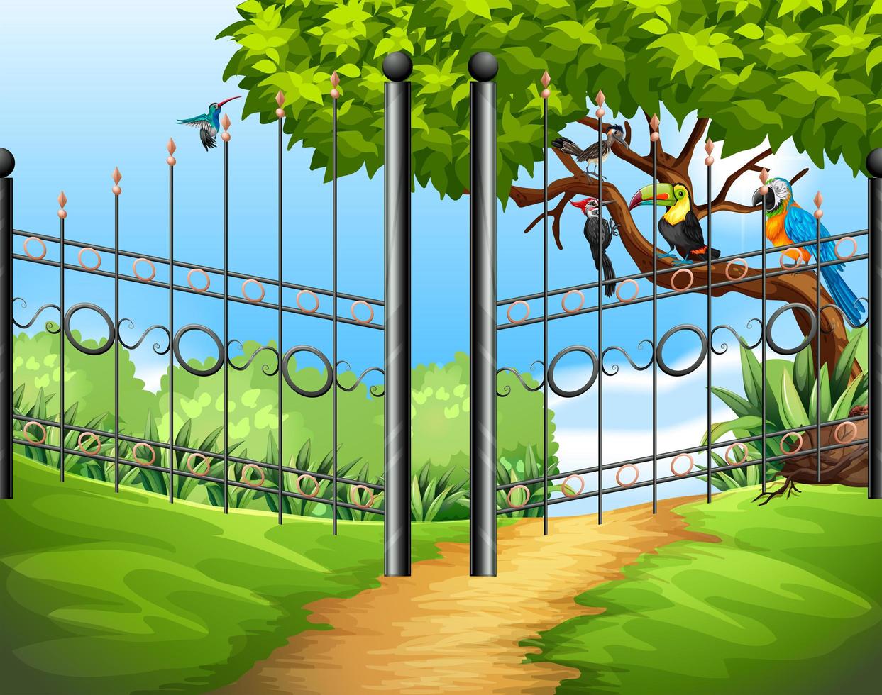 Scene with metal fence and birds on tree vector