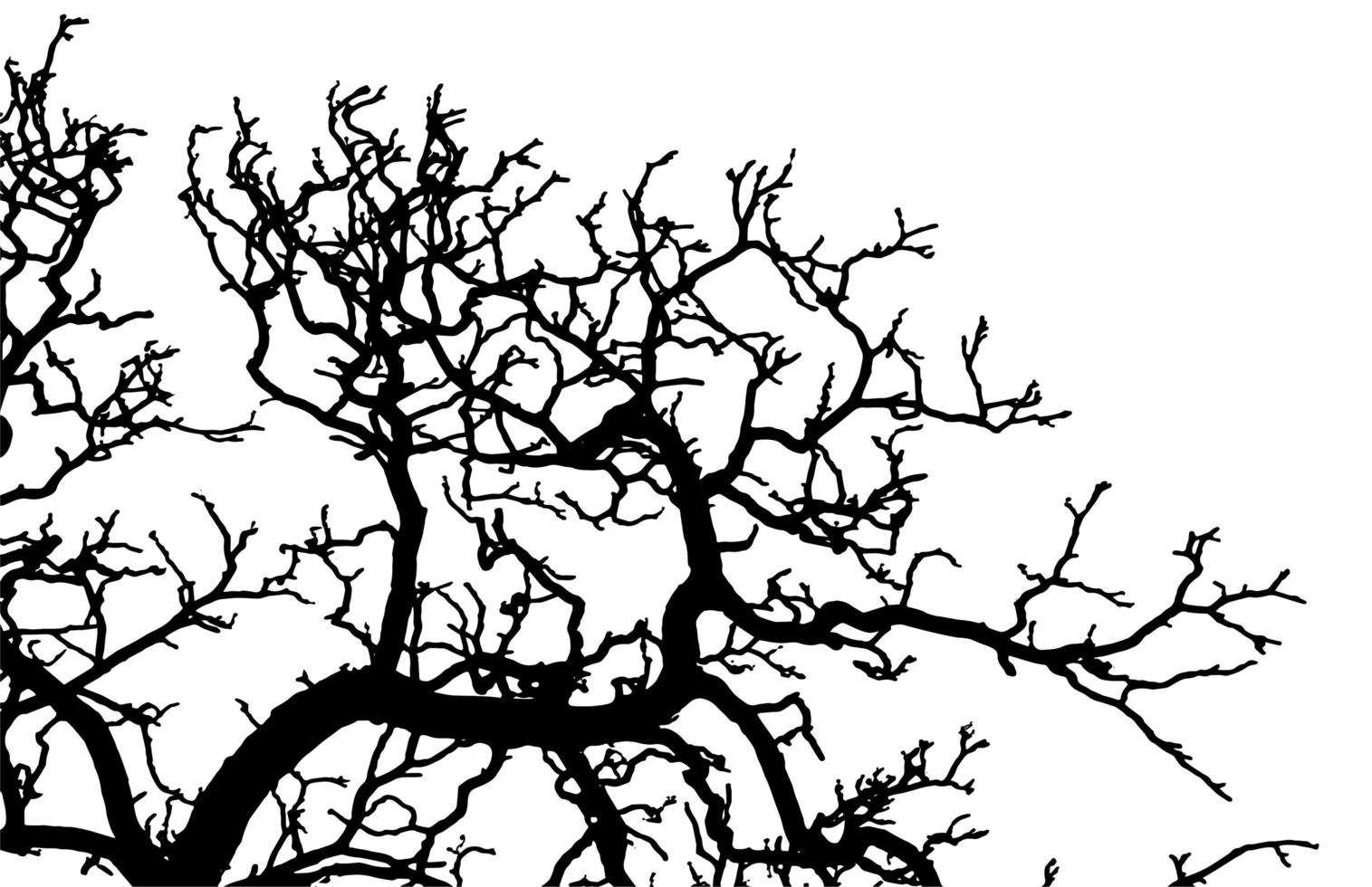 Branch tree silhouette vector