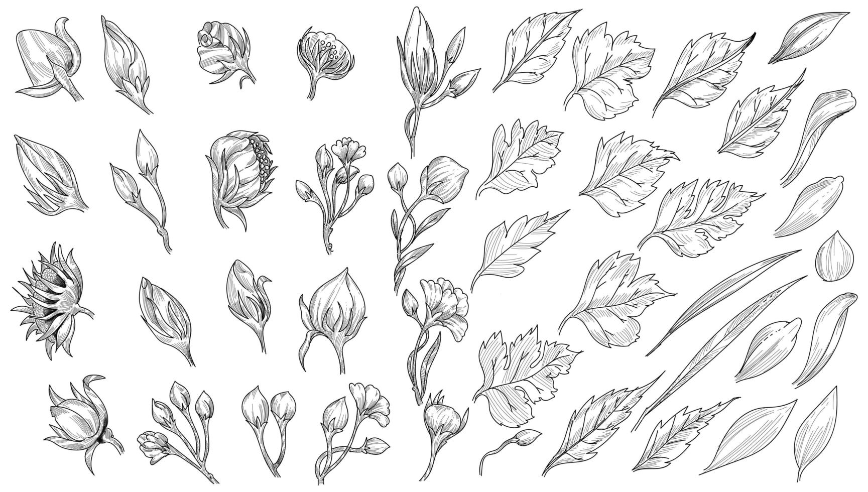 Leaf sketch set design vector