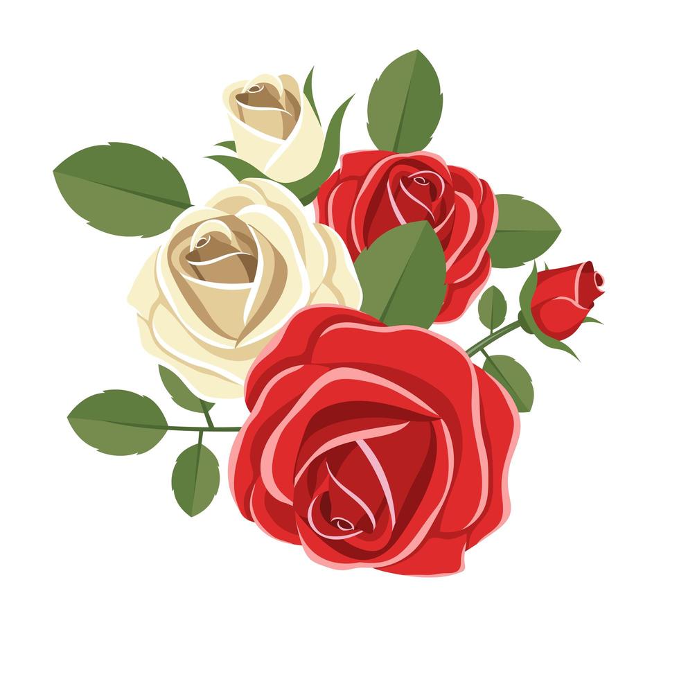 Vintage roses isolated vector