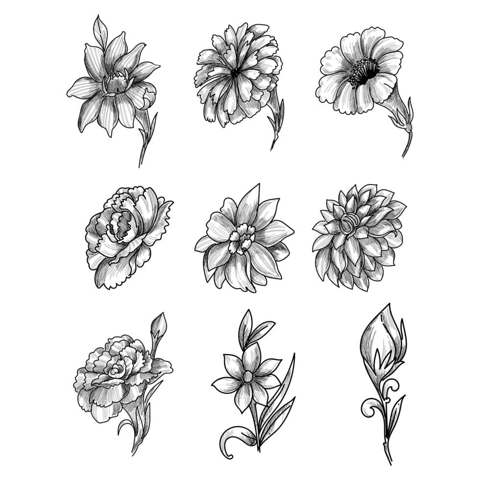 Beautiful artistic sketch floral set  vector