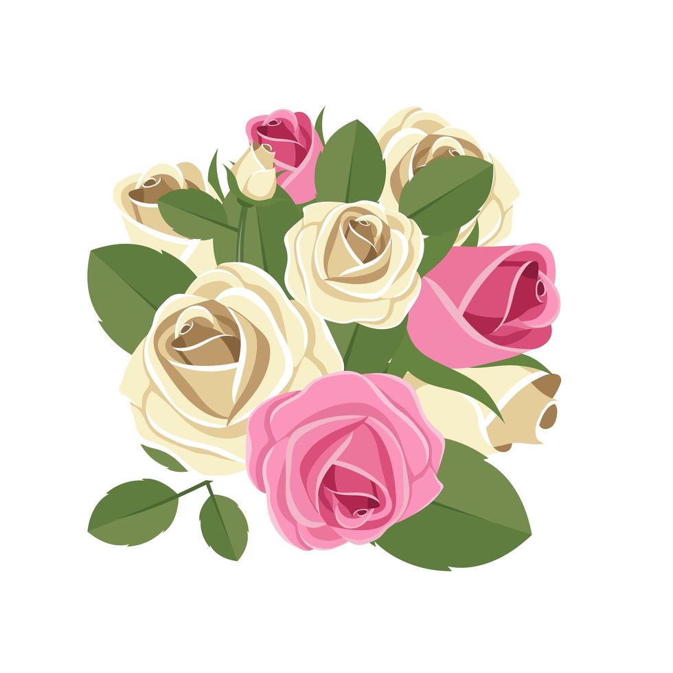 rosas aisladas sobre fondo blanco vector