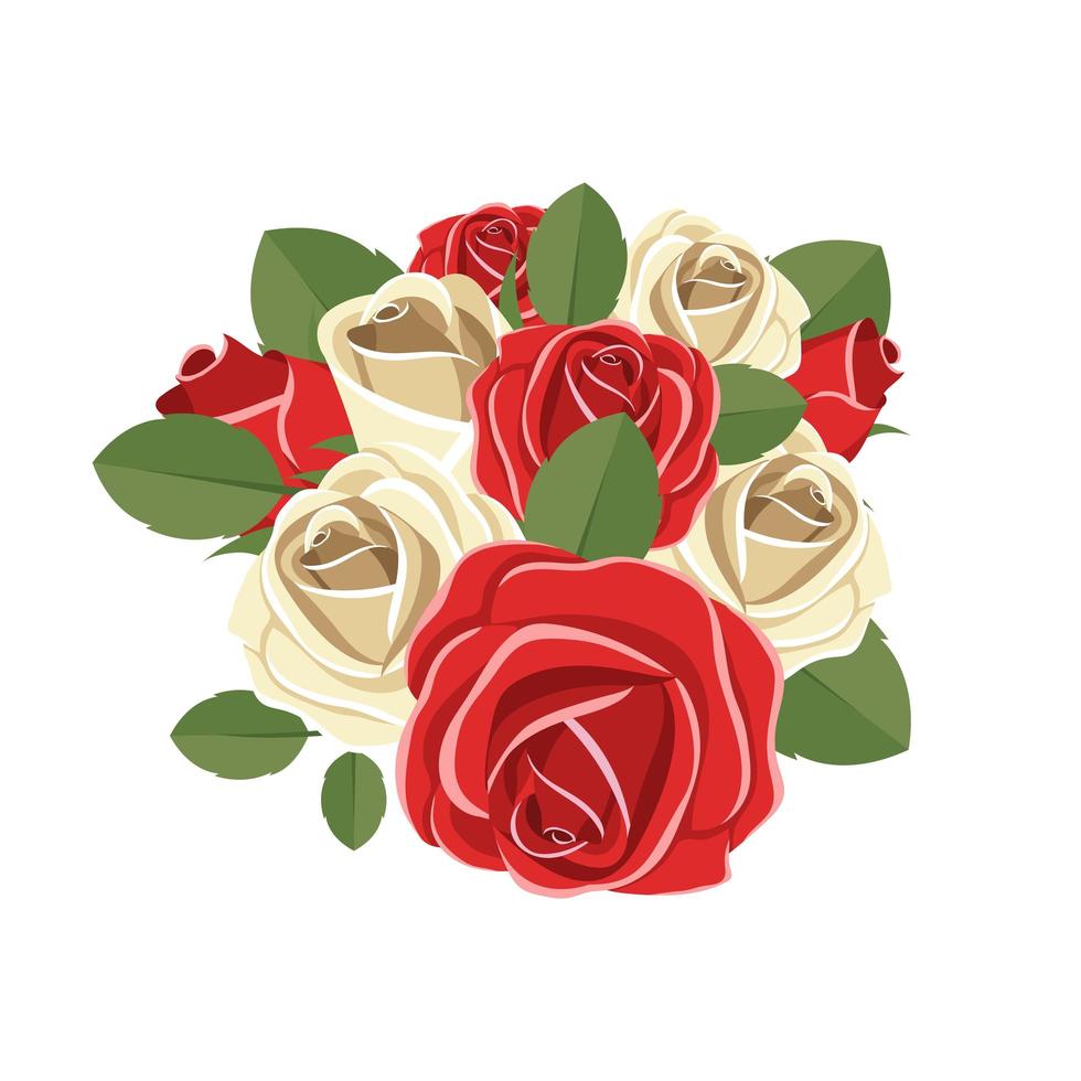 rosas aisladas sobre fondo blanco vector