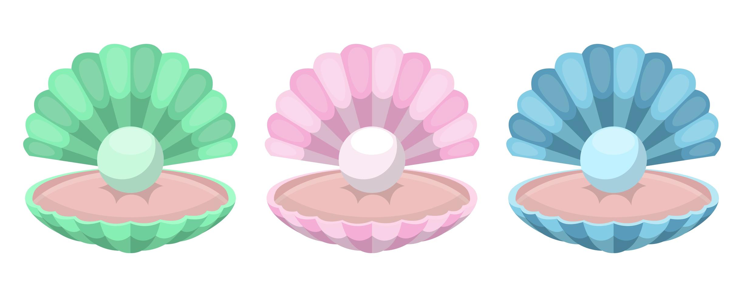Seashell with pearl  vector
