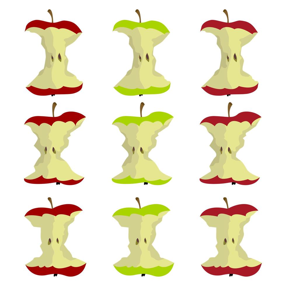 Apple core isolated on white vector