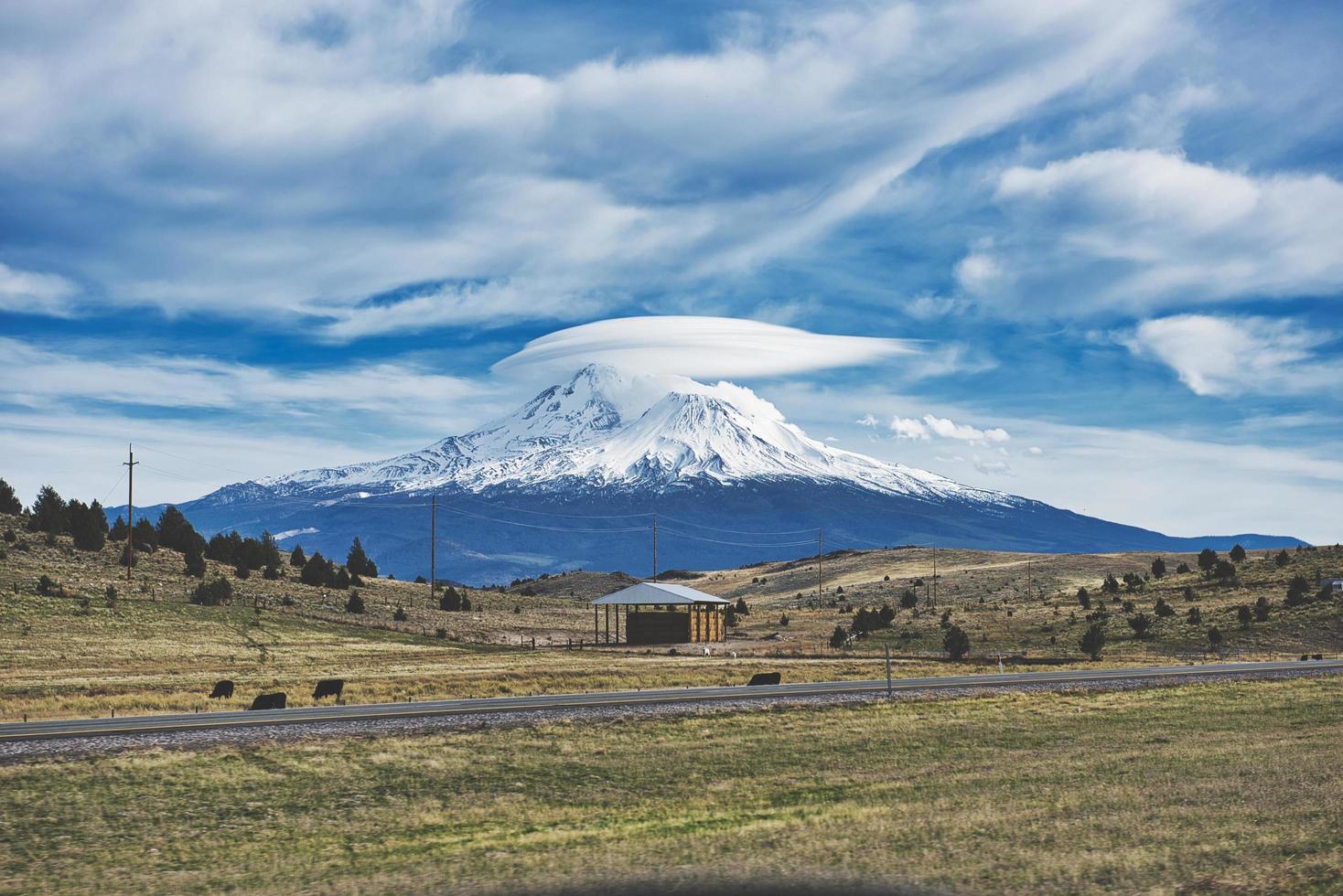 montaña y árboles foto