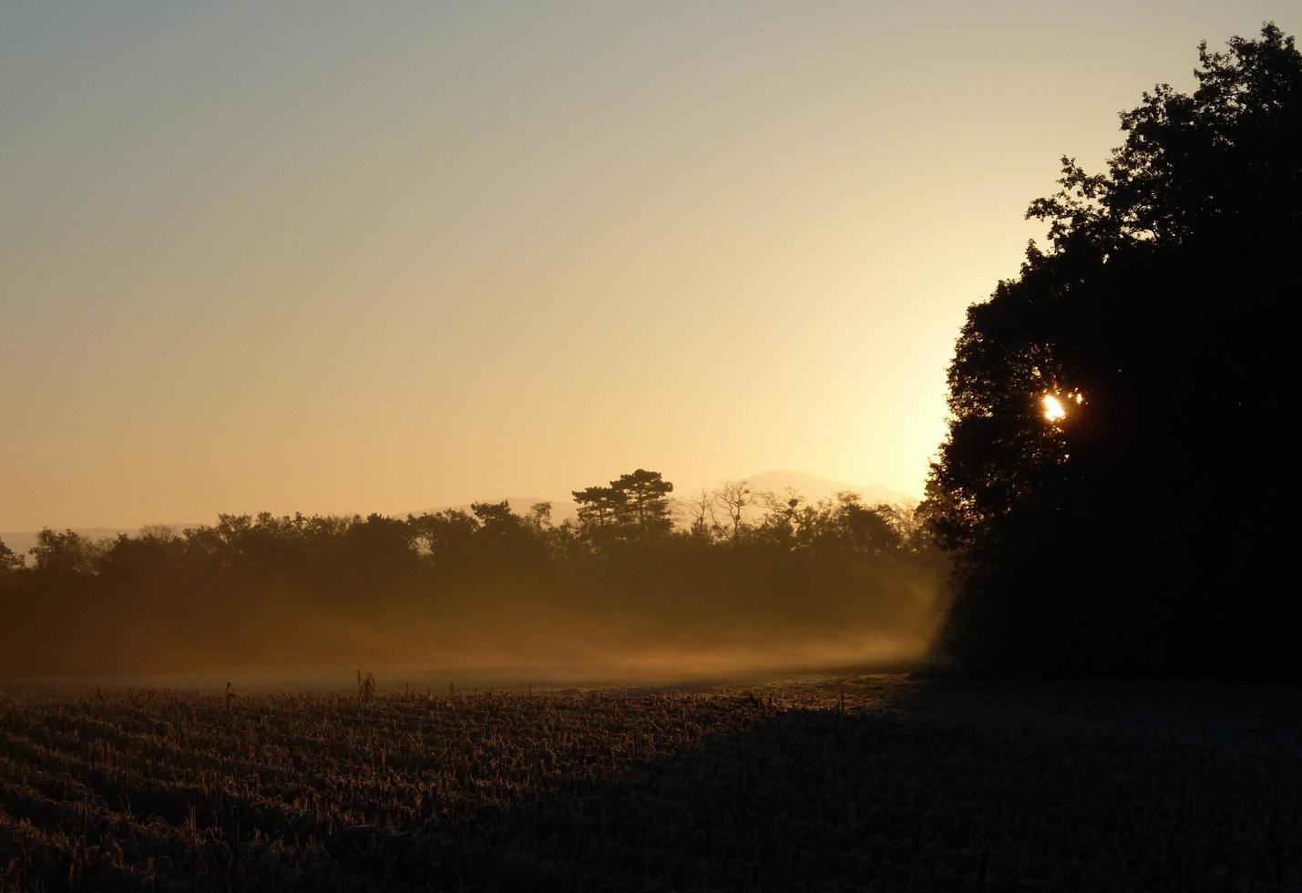 niebla de la mañana al amanecer foto