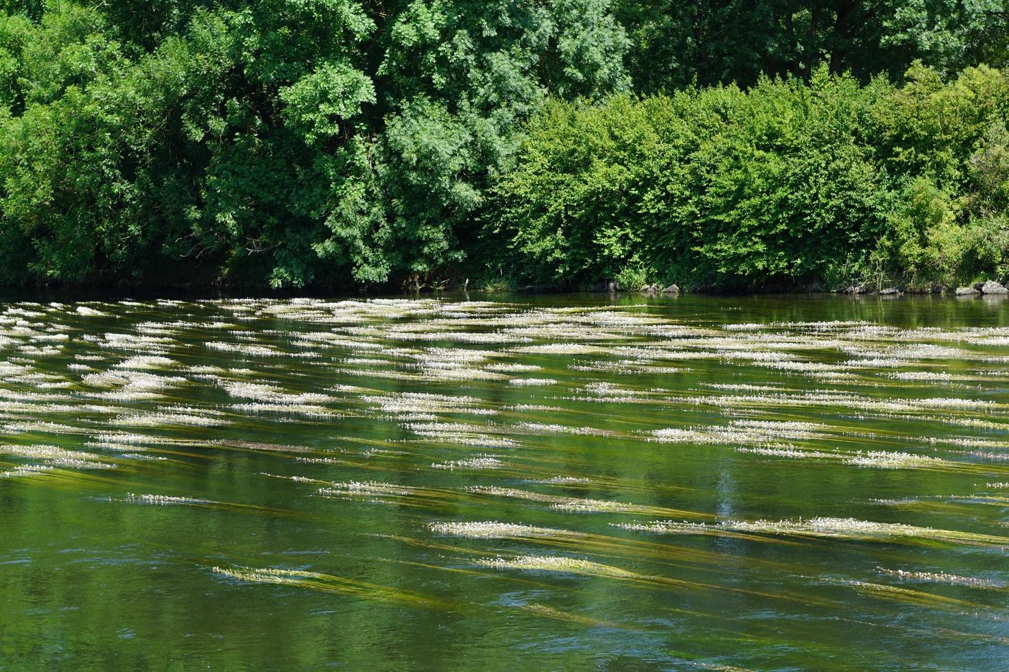 River Danube at Ulm in Germany photo