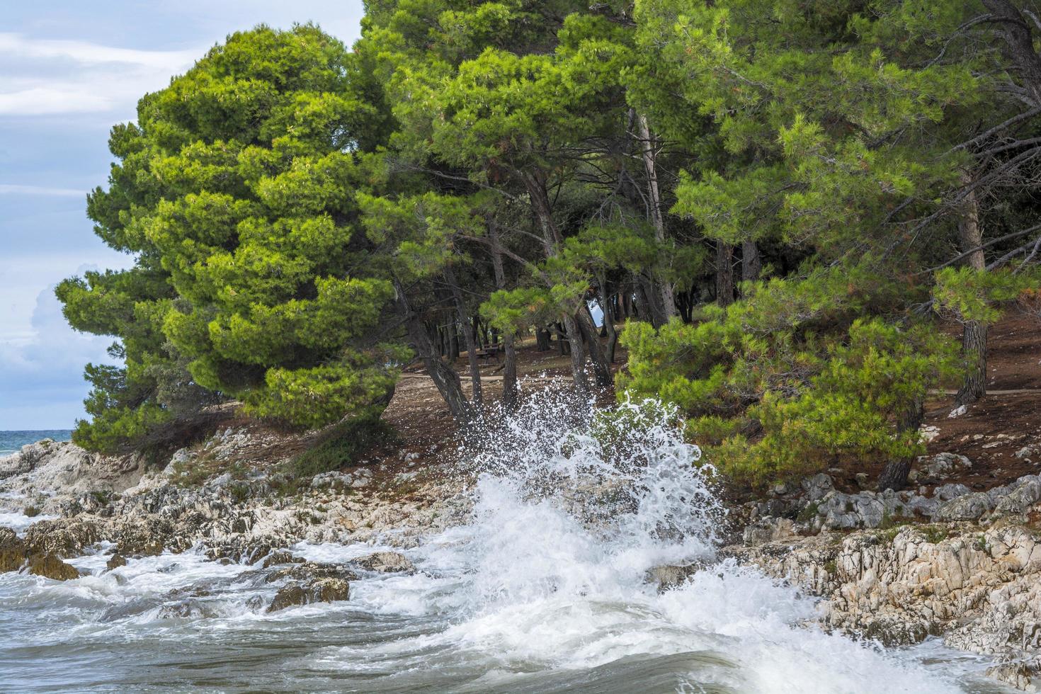 Coastal sea waves  photo