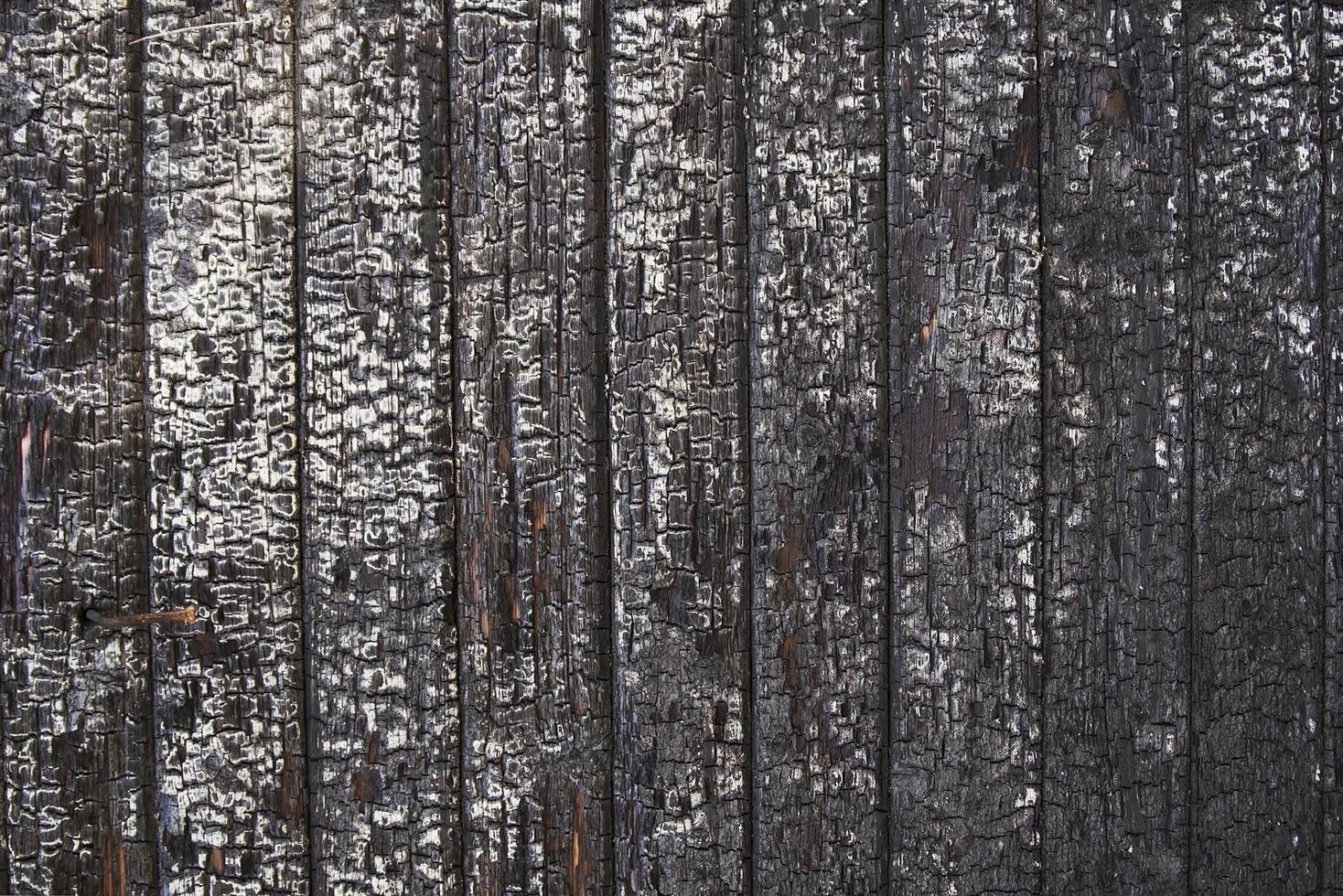 textura de madera quemada foto
