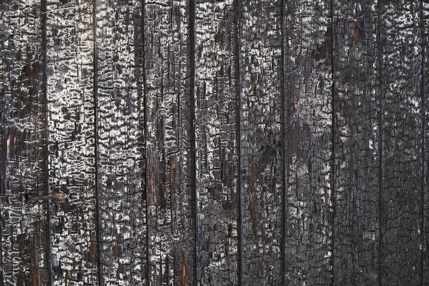 Burnt wood texture photo
