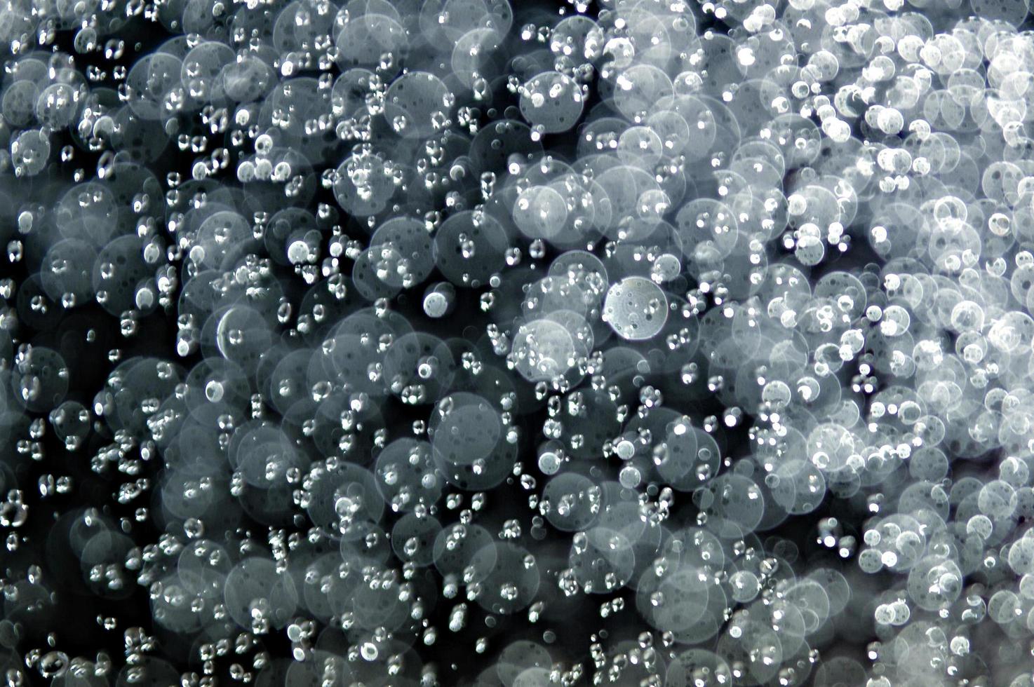 Rain drops and bokeh photo