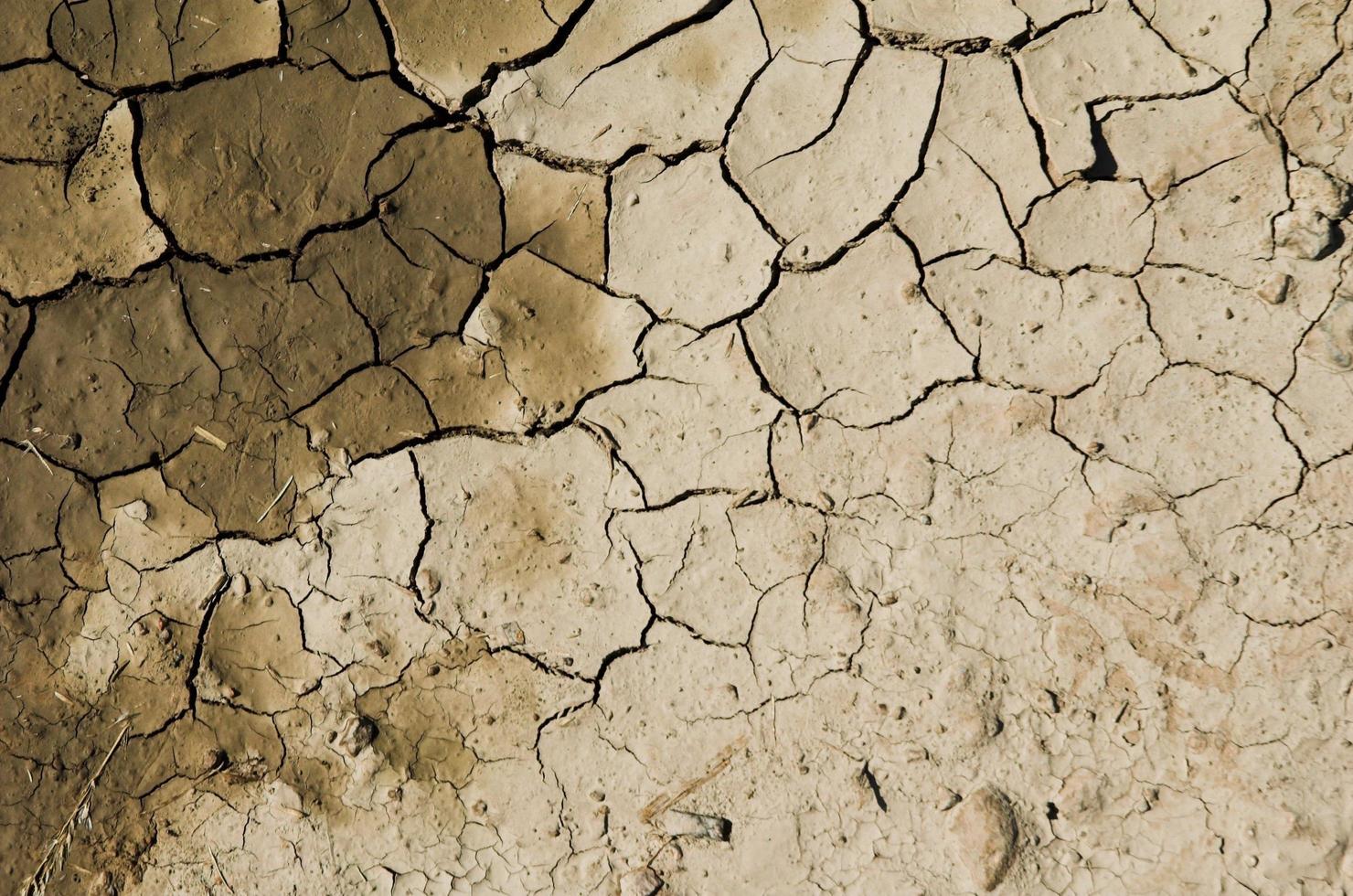 Brown arid soil photo
