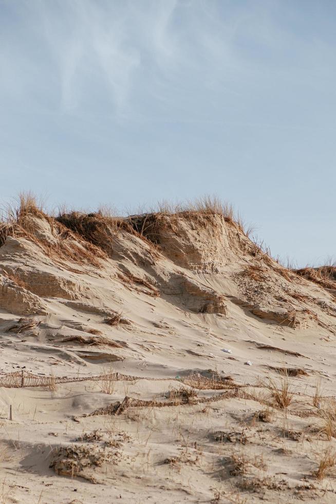 Grassy sand dunes photo