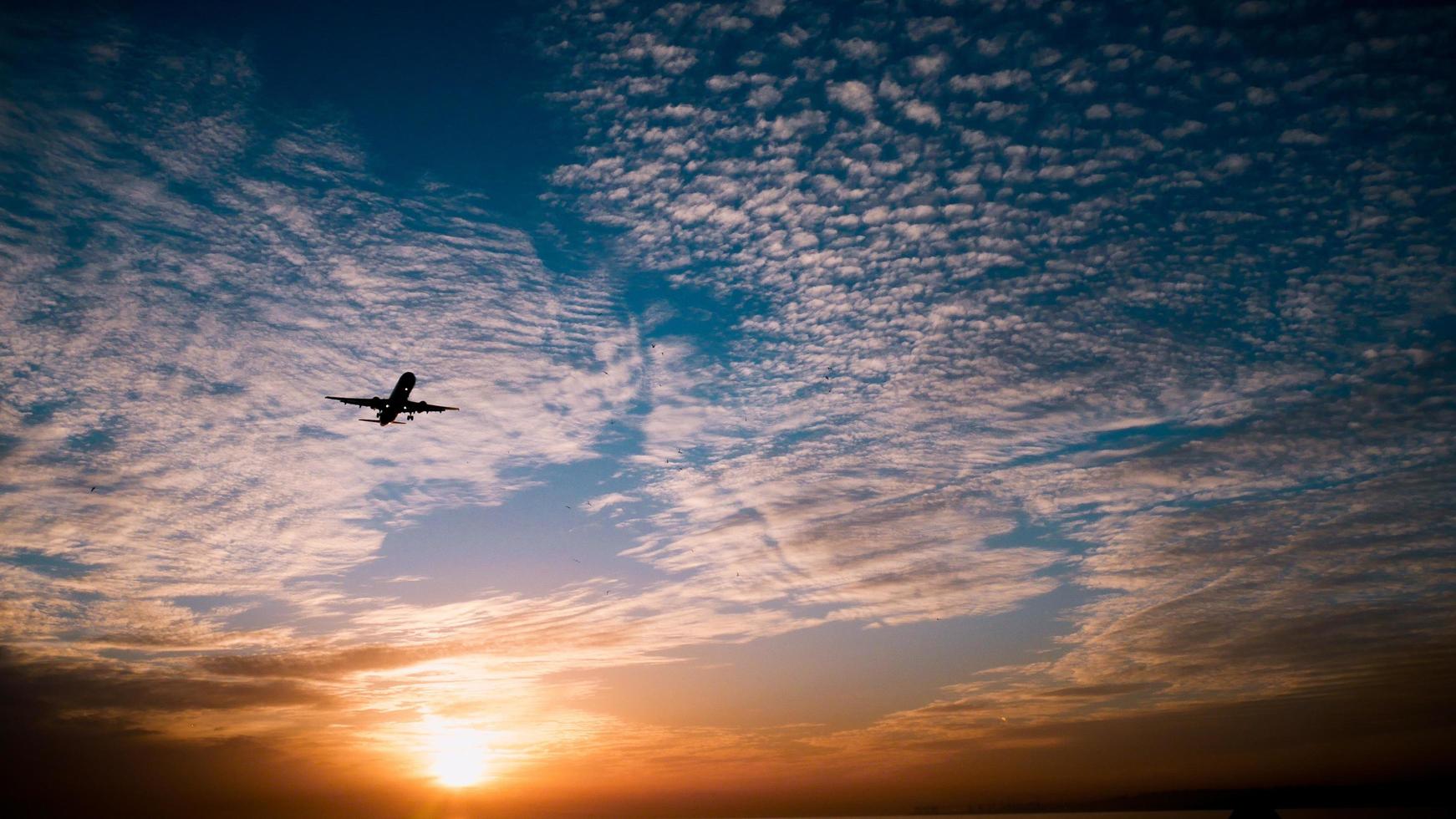 Airplane in sunset photo