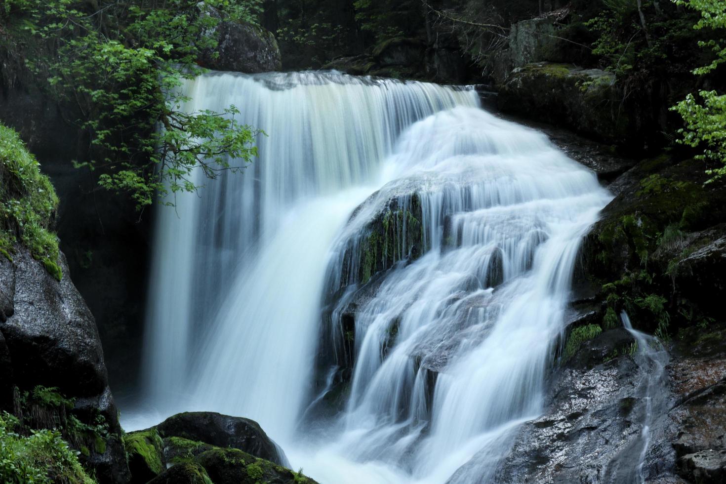 Waterfalls in forest photo