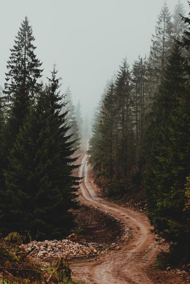 Moody brown dirt road  photo