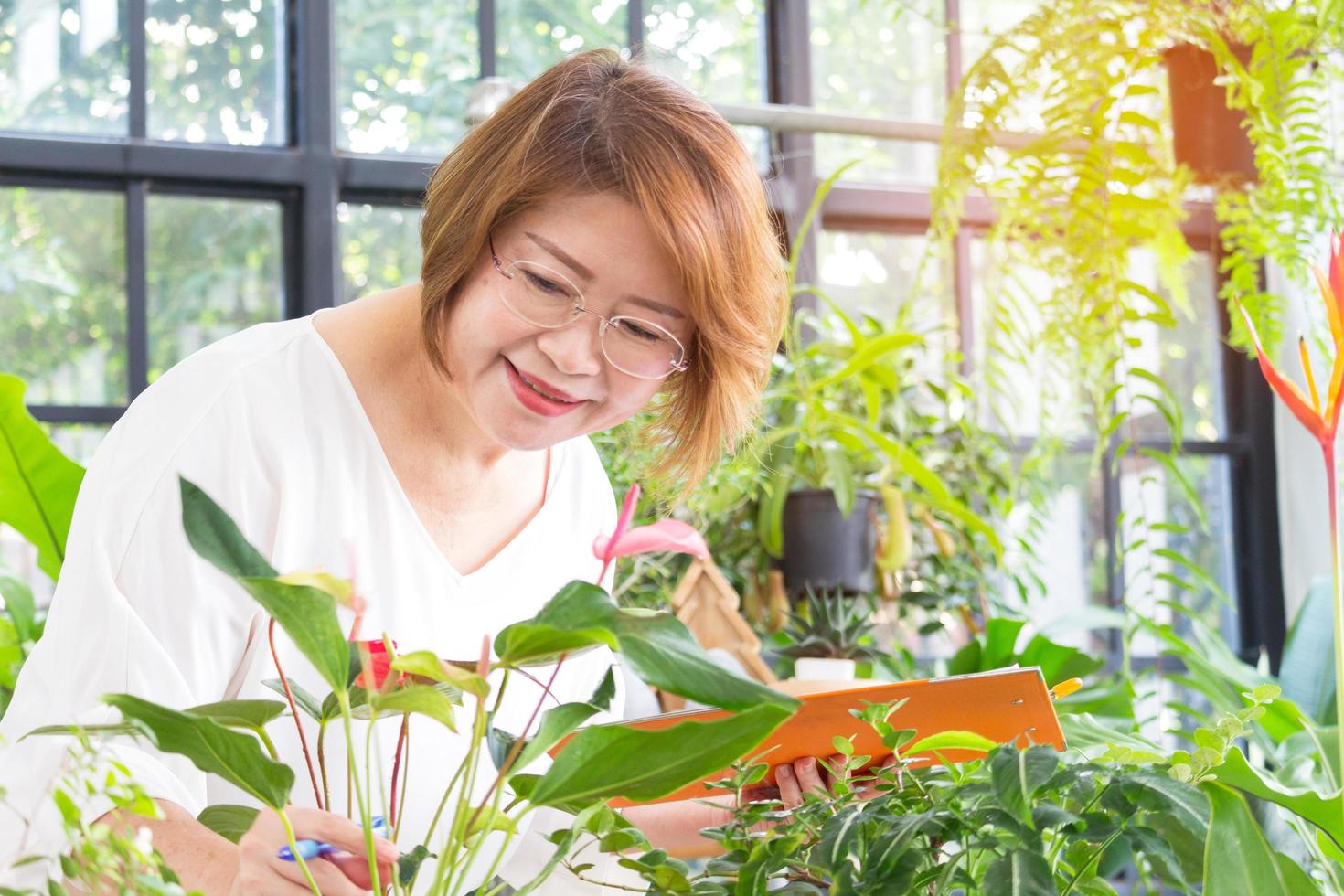 mujer atendiendo plantas foto