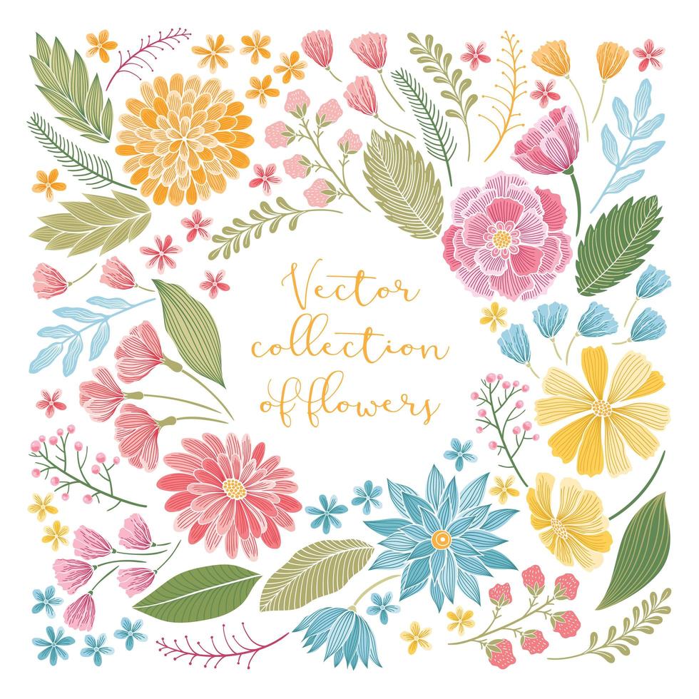 Hand drawn floral collection vector