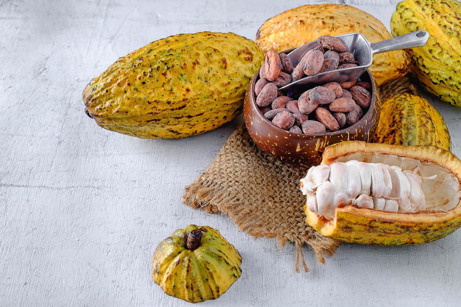 Fresh cocoa with cocoa pods and cocoa beans photo