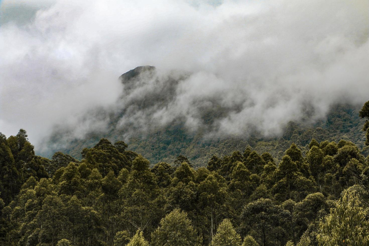 Green mountains covered in fog photo