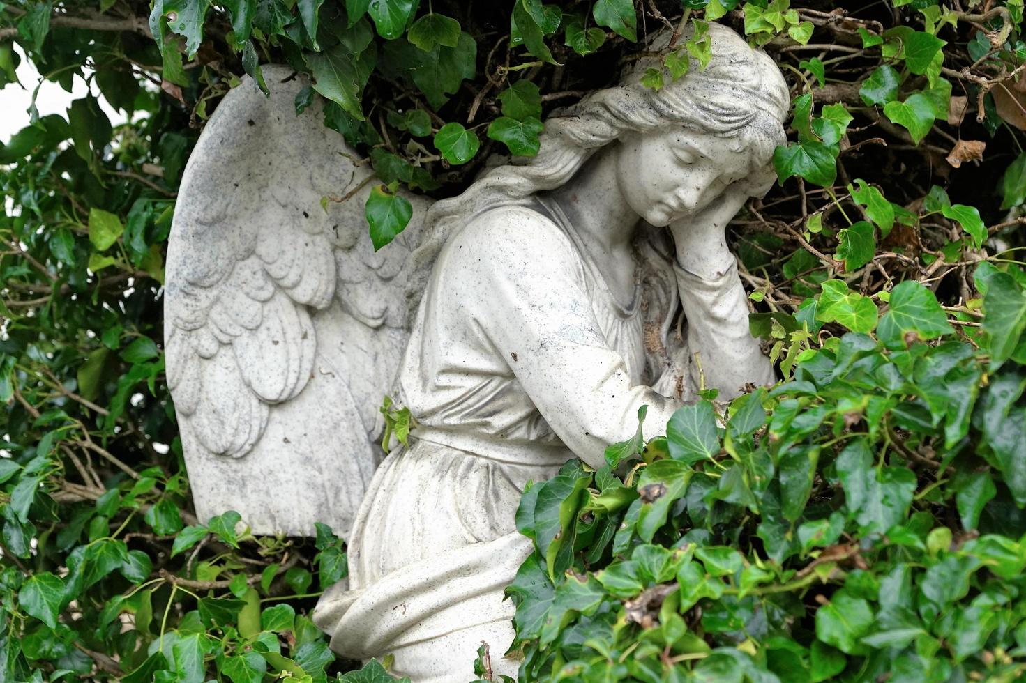 escultura de ángel entre hojas verdes foto