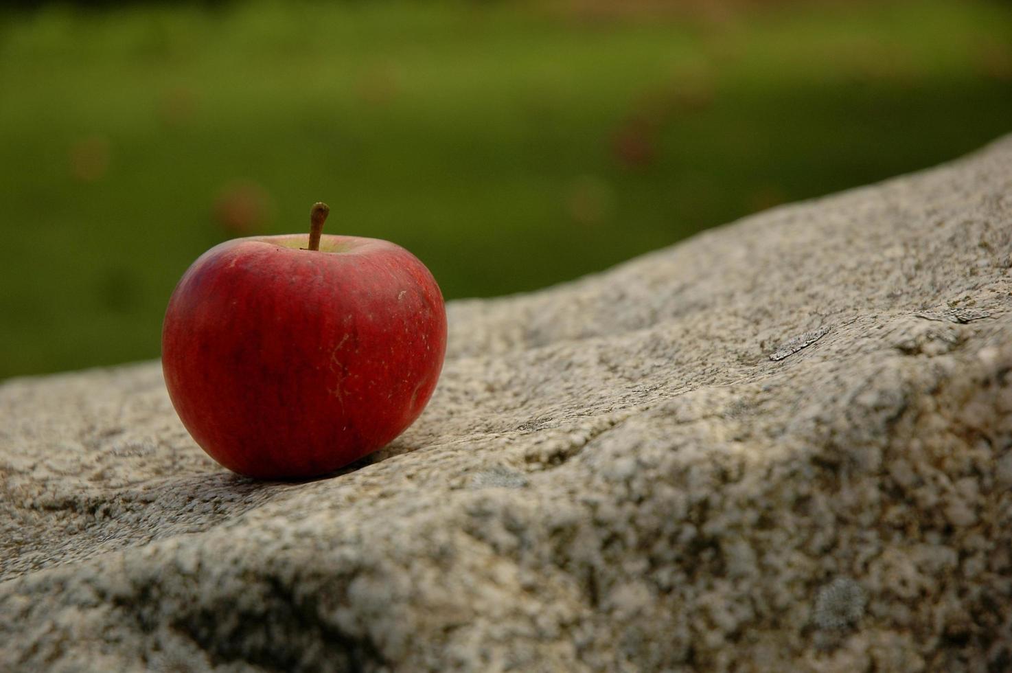 Close up of a red apple photo