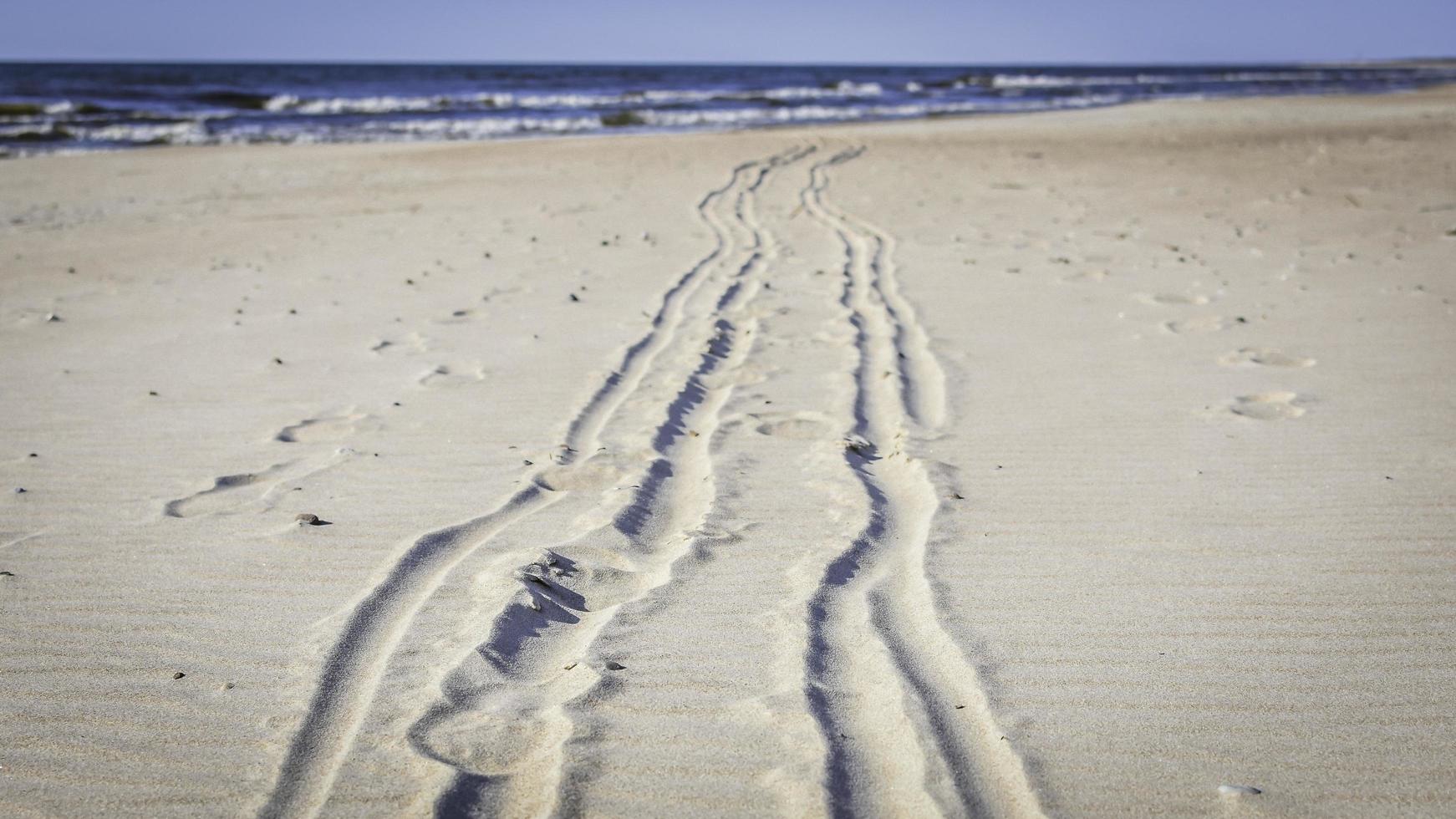 Tracks in the sand photo