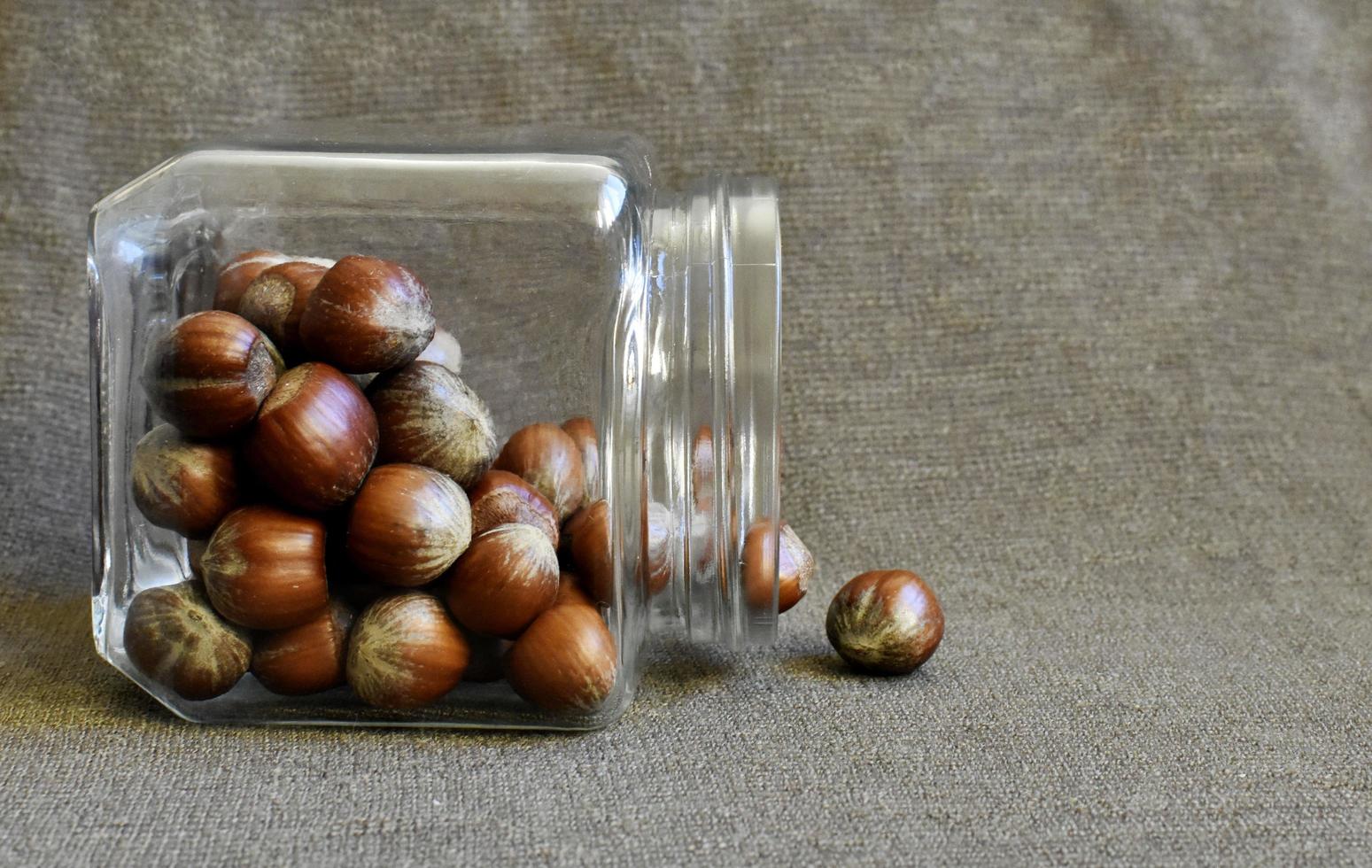 Jar of hazelnuts photo