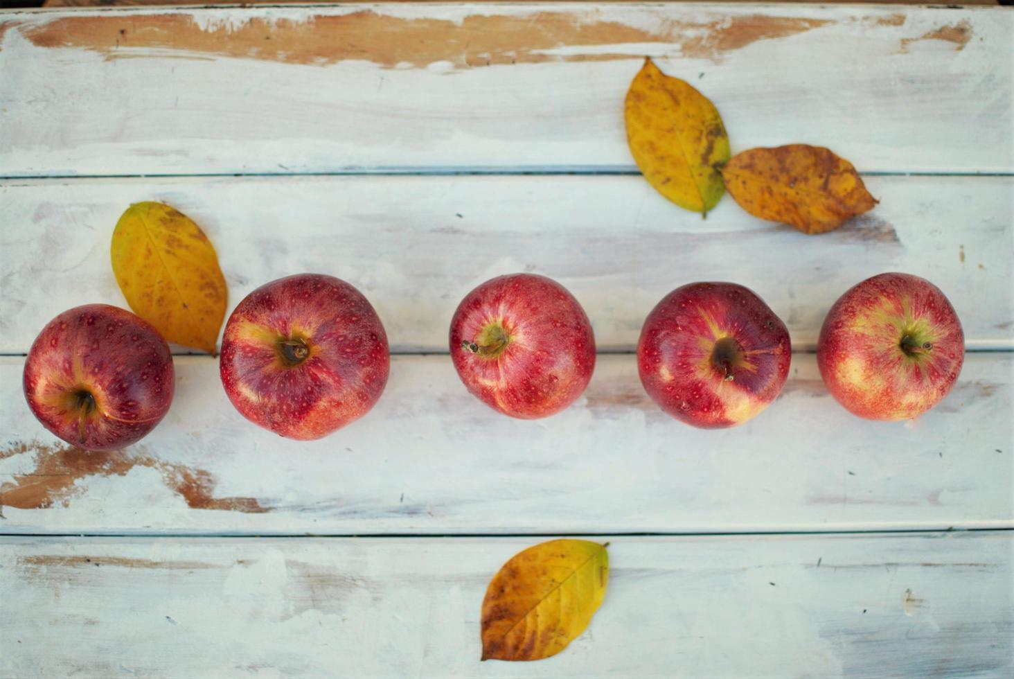 Top view of red apples on a table photo