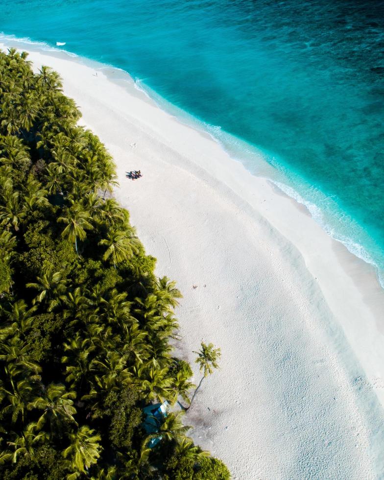 fotografía aérea de la orilla del mar foto