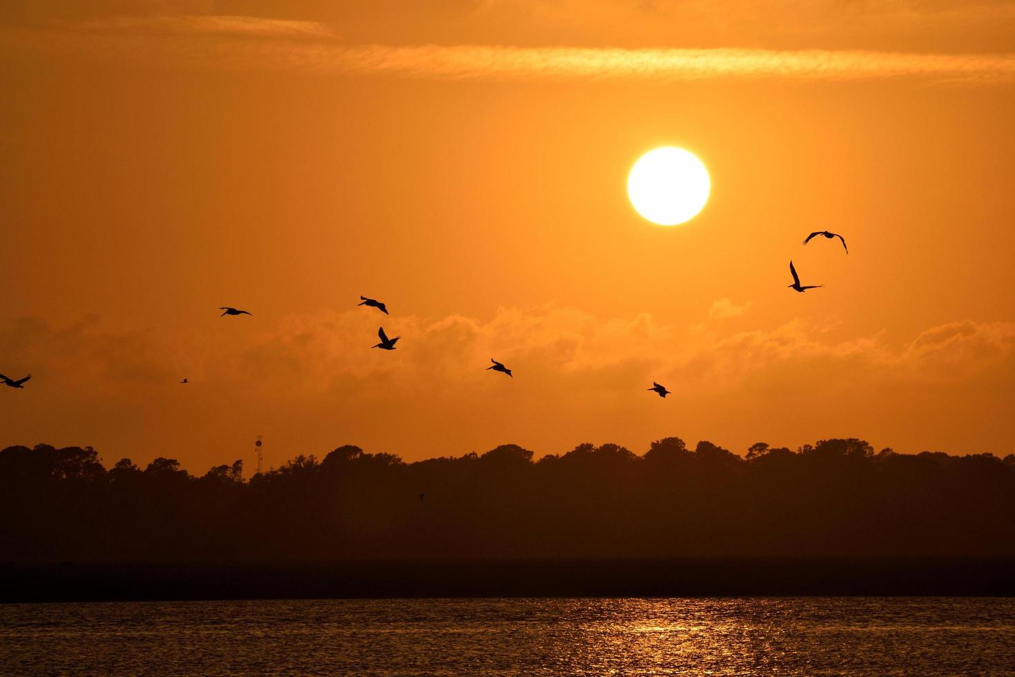 Sunset in Florida photo