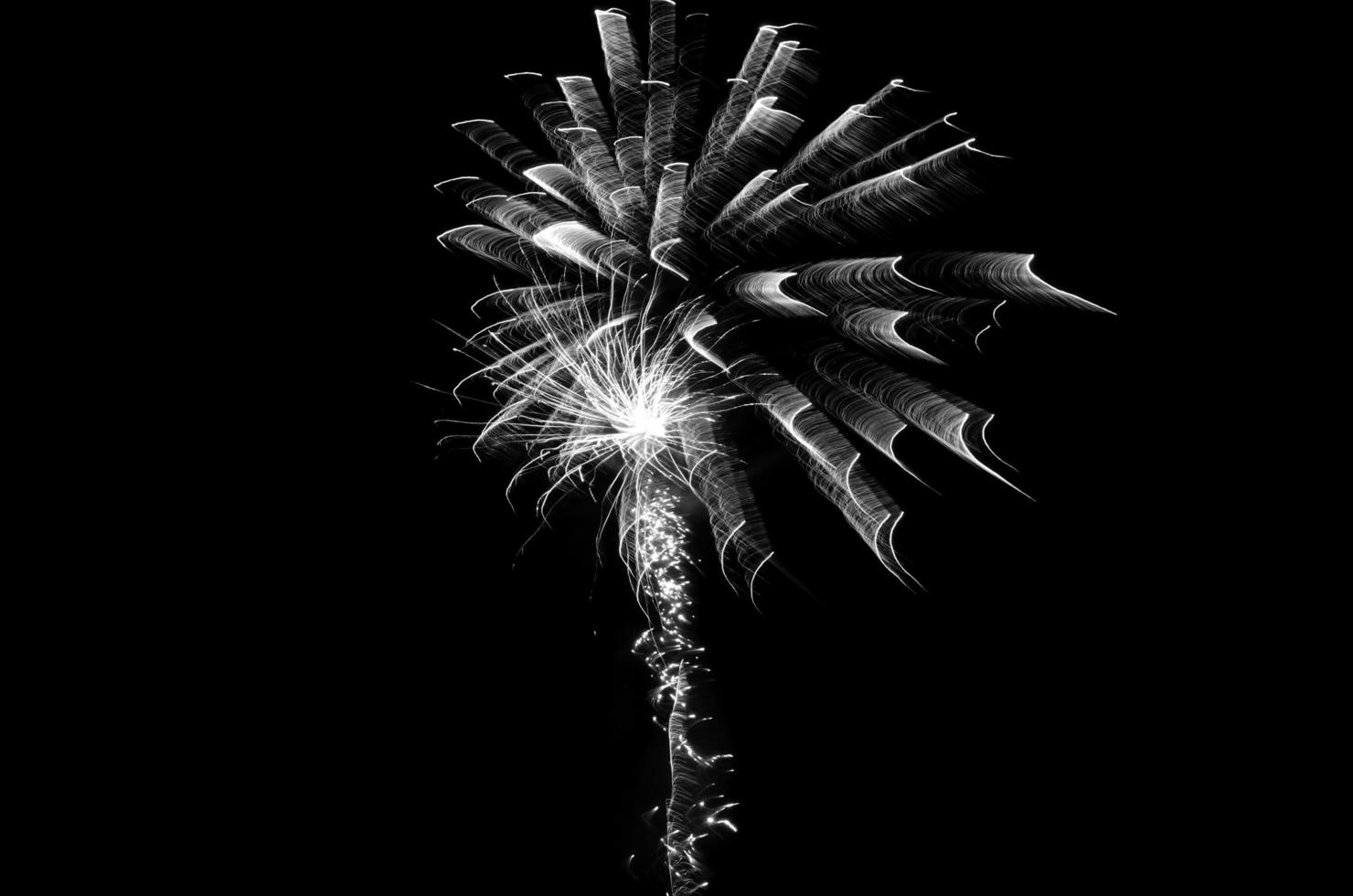 Fireworks in black and white photo