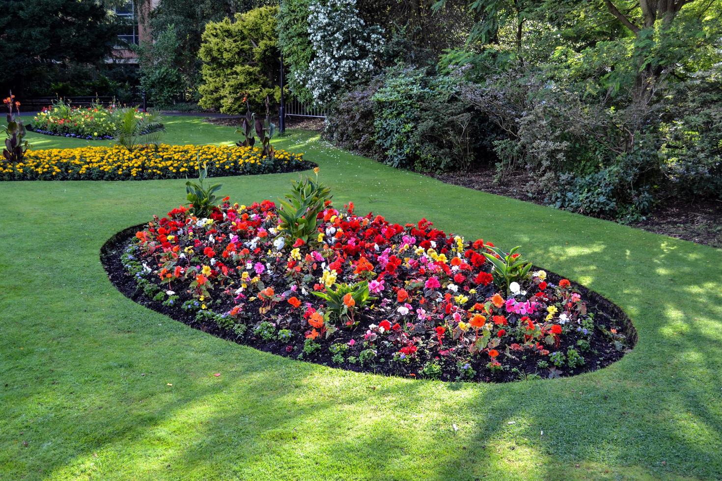 flores en el jardin foto