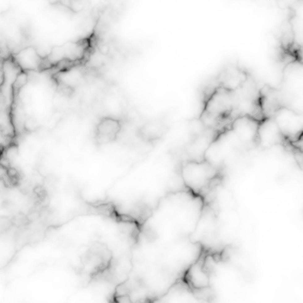 Elegant detailed marble texture vector