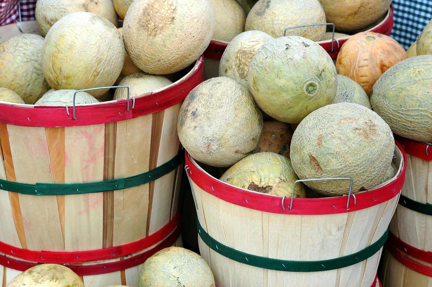 melones para la venta foto