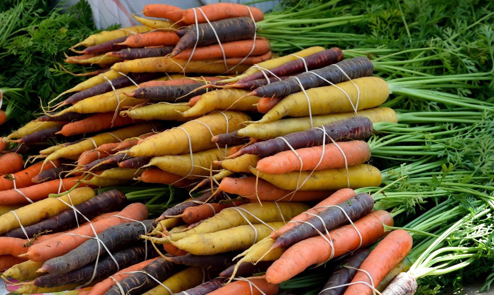 manojo de zanahorias foto